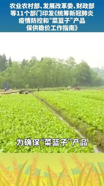 農(nóng)業(yè)農(nóng)村部 發(fā)展改革委 財(cái)政部等11個部門印發(fā)統(tǒng)籌新冠肺炎疫情防控和 菜籃子 產(chǎn)品保供穩(wěn)價工作指南