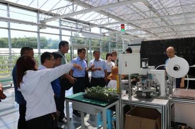 技術(shù)賦能特色產(chǎn)業(yè) 山東省農(nóng)業(yè)技術(shù)推廣中心助力曲堤黃瓜菜農(nóng)增收